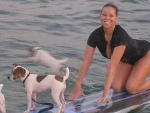 娱乐吃瓜君狗狗